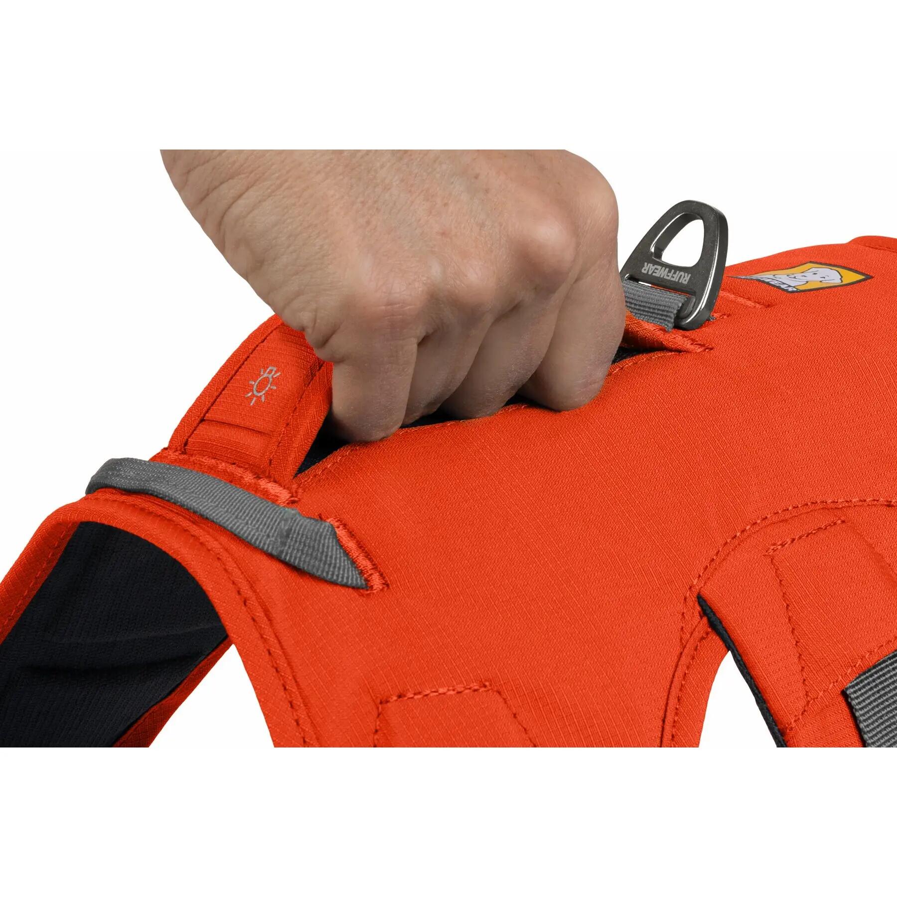 Harnais pour chien Ruffwear Web Master 5/5