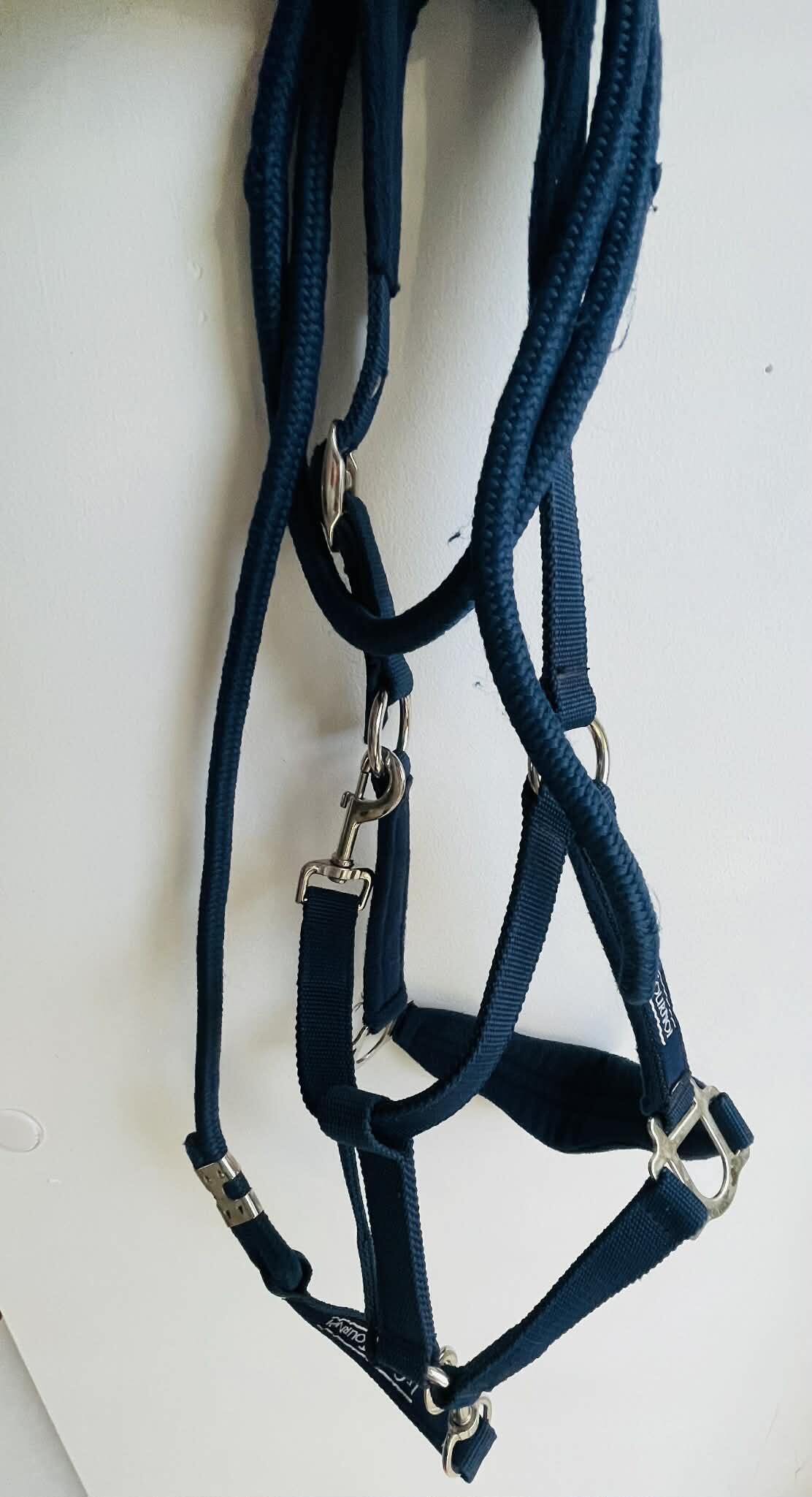 Entre Particuliers - Licol+ longe bleu marine taille full 2/7