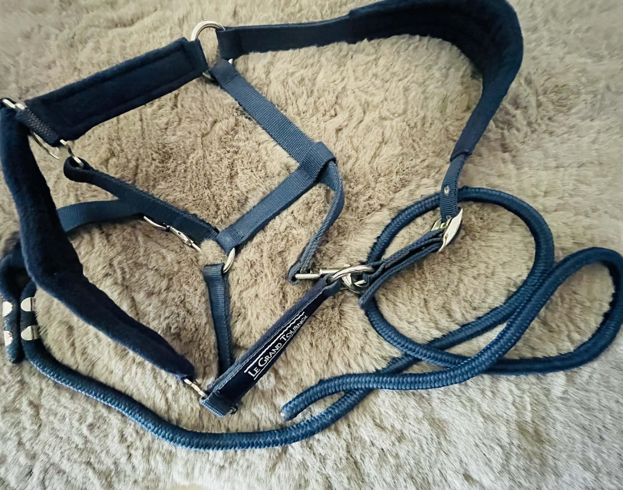 Entre Particuliers - Licol+ longe bleu marine taille full 6/7