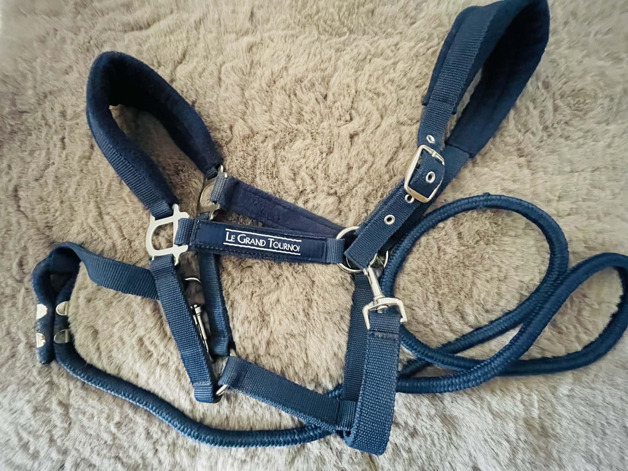 Entre Particuliers - Licol+ longe bleu marine taille full 7/7