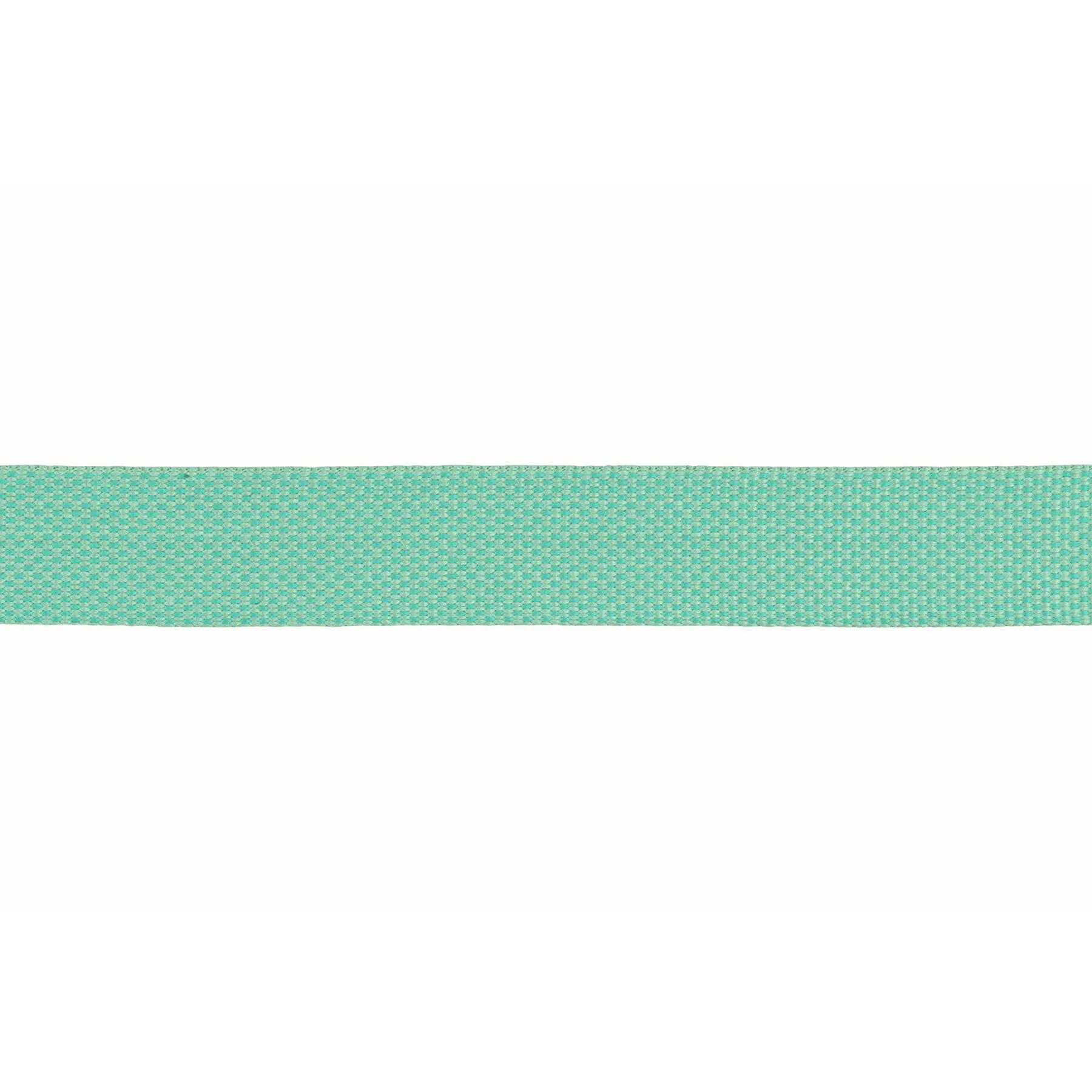 Laisse pour chien Ruffwear Flagline 4/5