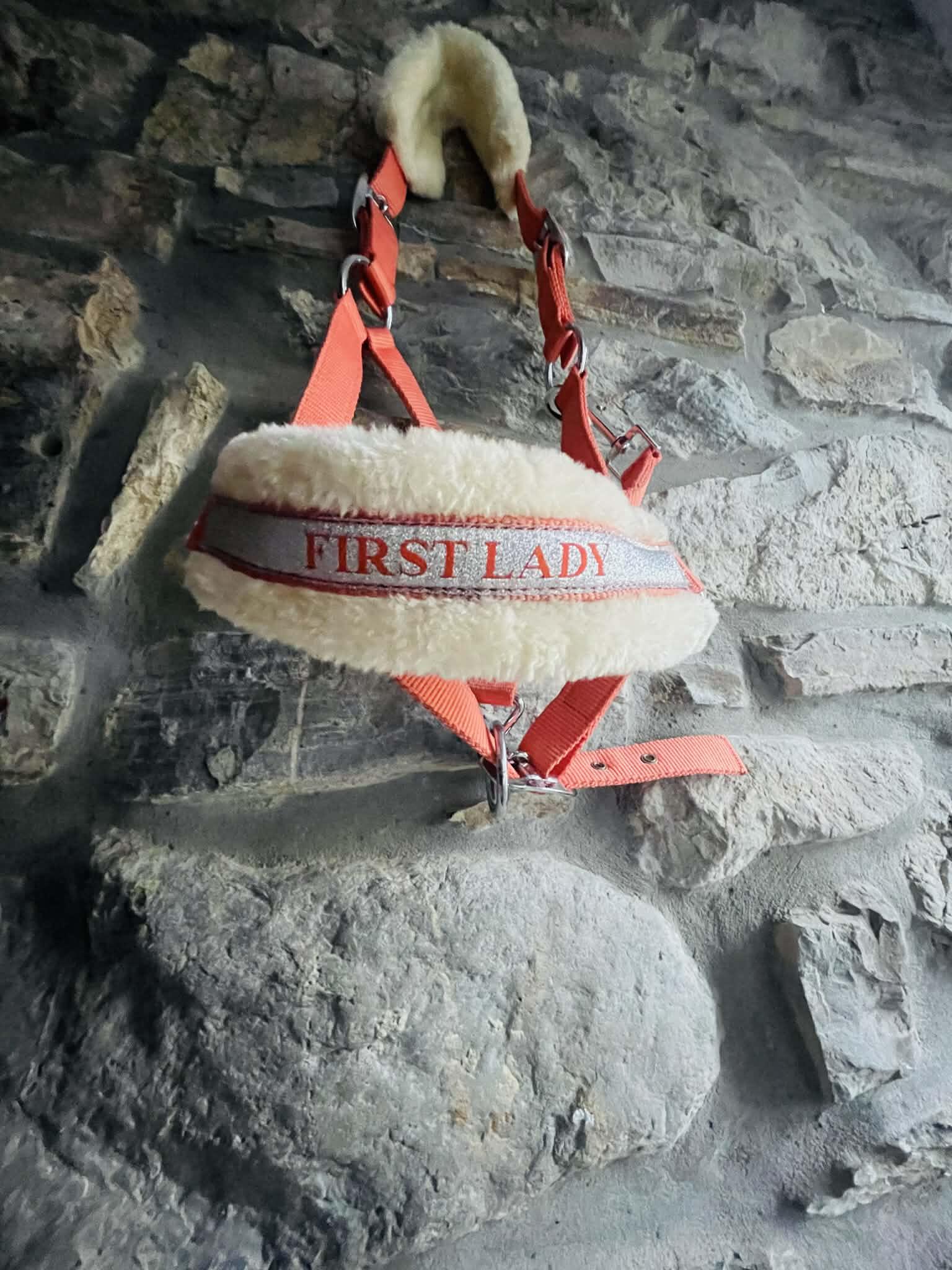 Entre Particuliers - licol corail taille poney 3/5