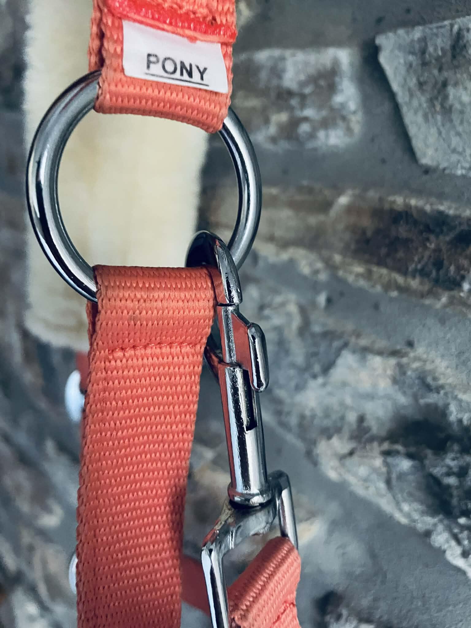 Entre Particuliers - licol corail taille poney 4/5