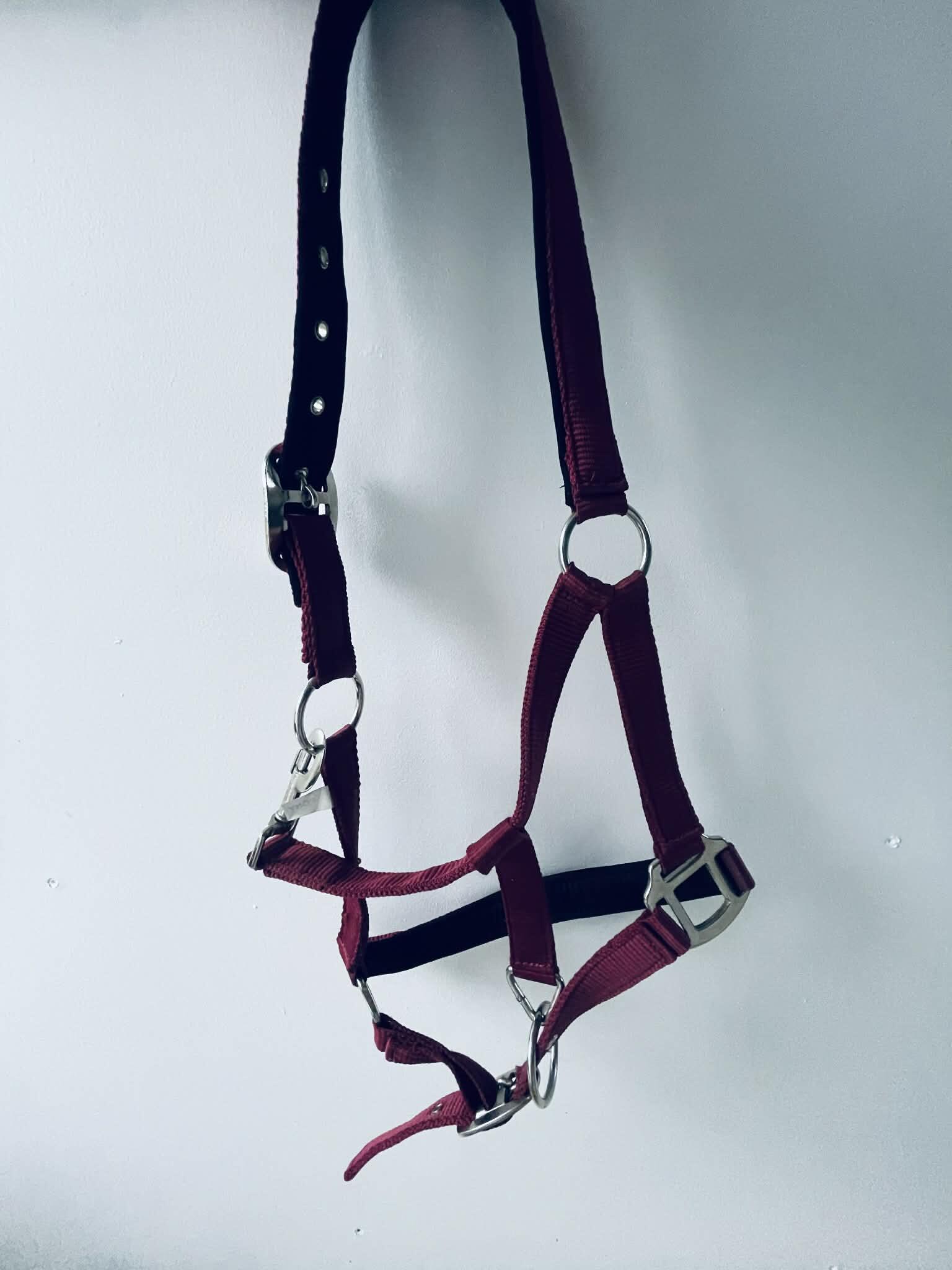 Entre Particuliers - licol taille bordeaux poney 3/4