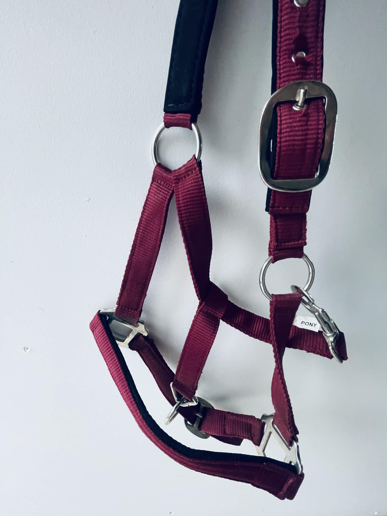 Entre Particuliers - licol taille bordeaux poney 2/4