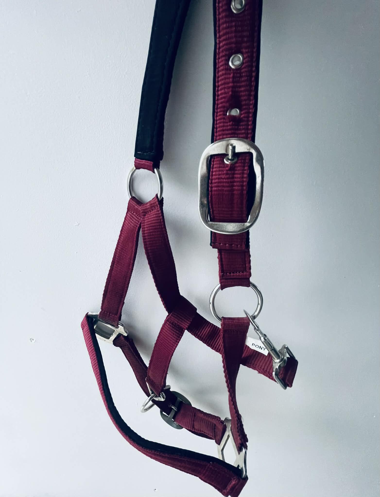 Entre Particuliers - licol taille bordeaux poney 4/4