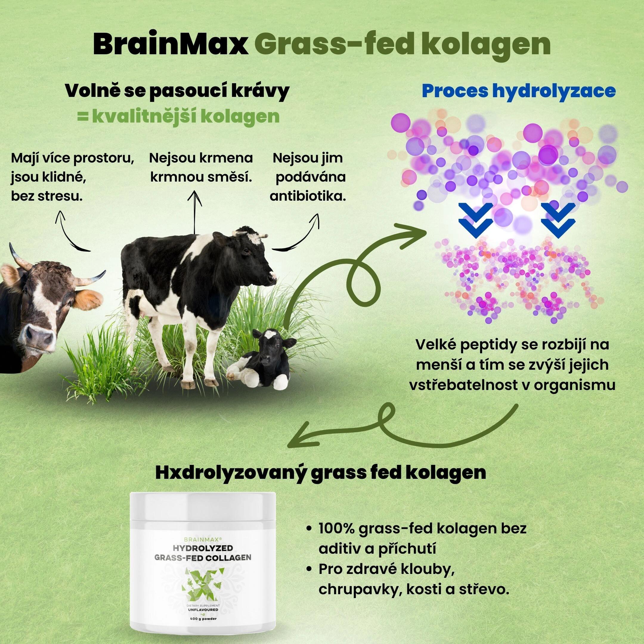 Hydrolyzovaný kolagen Grass-fed Collagen 4/5