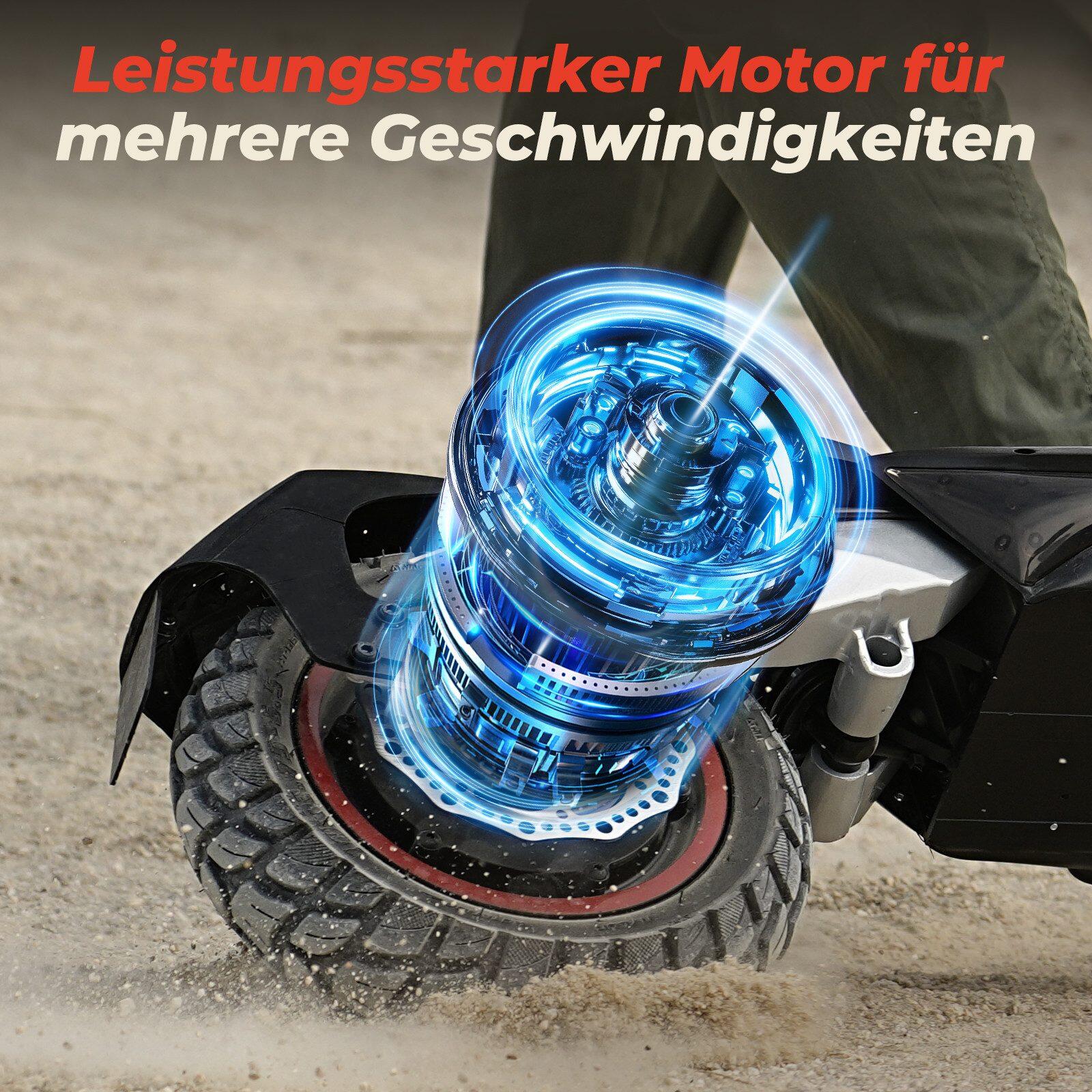E-Scooter 500W 10 Zoll mit Straßenzulassung 7/7