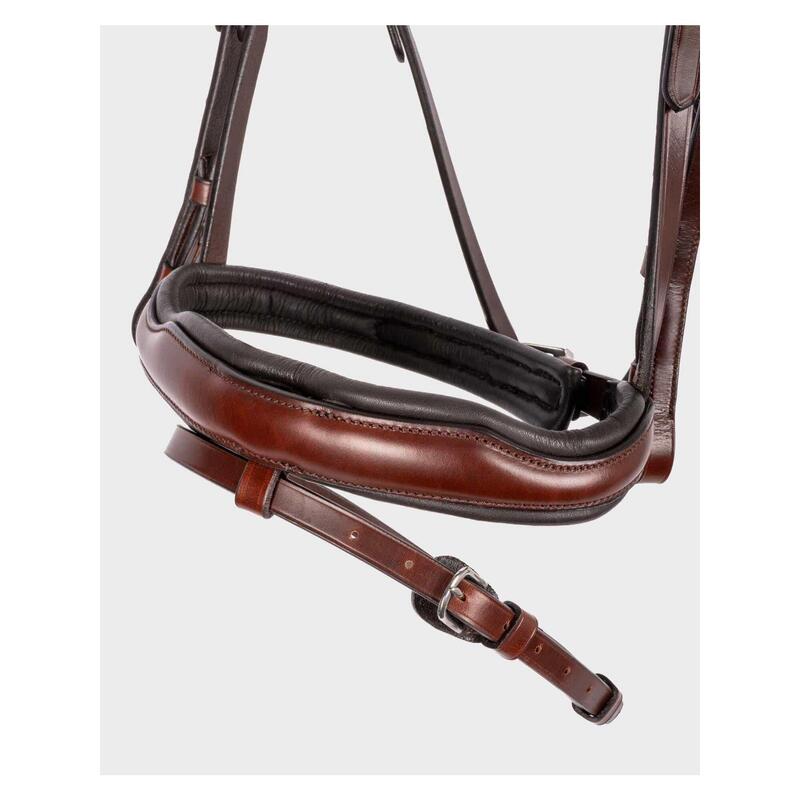 Bridon BR Equitation Anatomique Luton