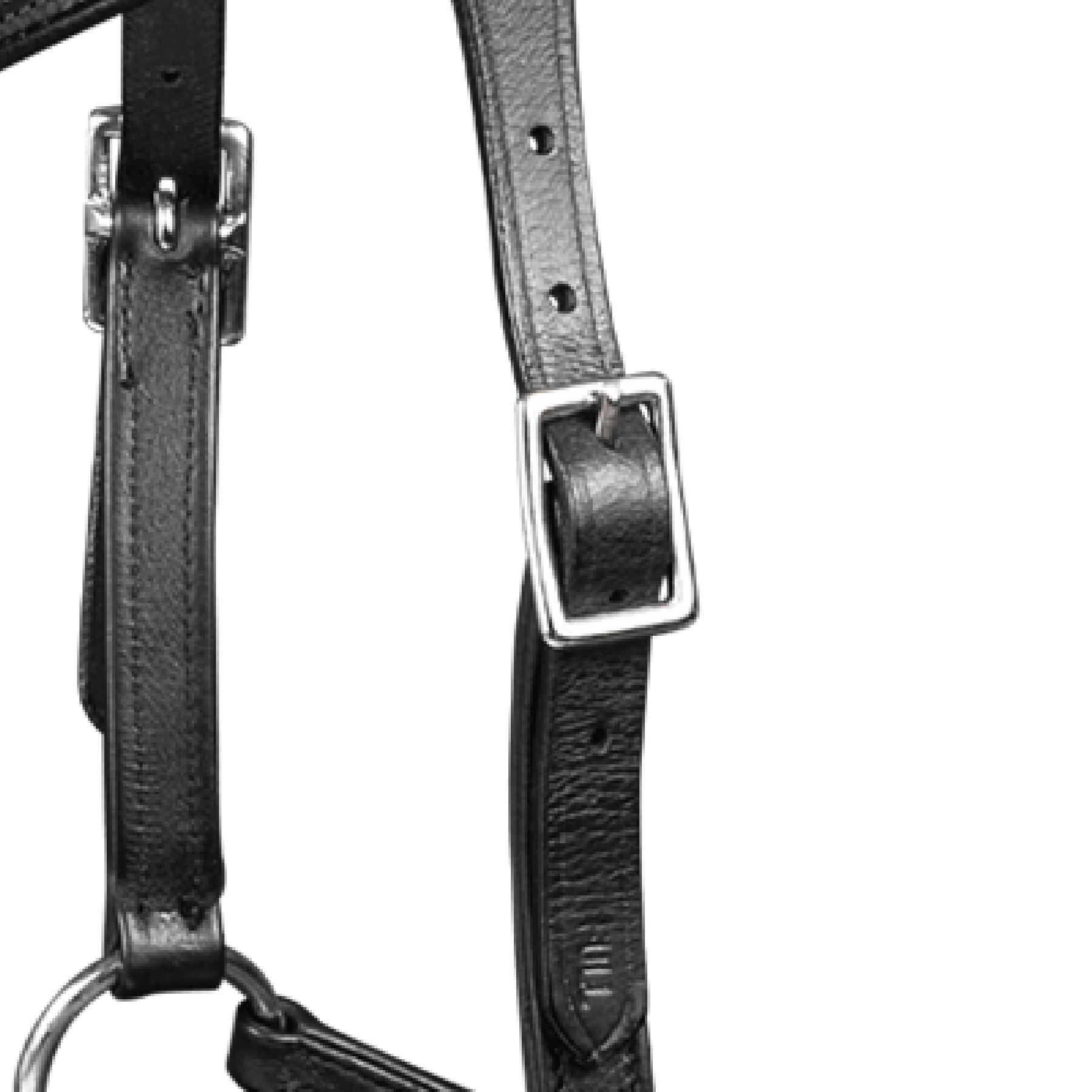 Bridon sans mors pour cheval Waldhausen X-Line Nuova 5/5