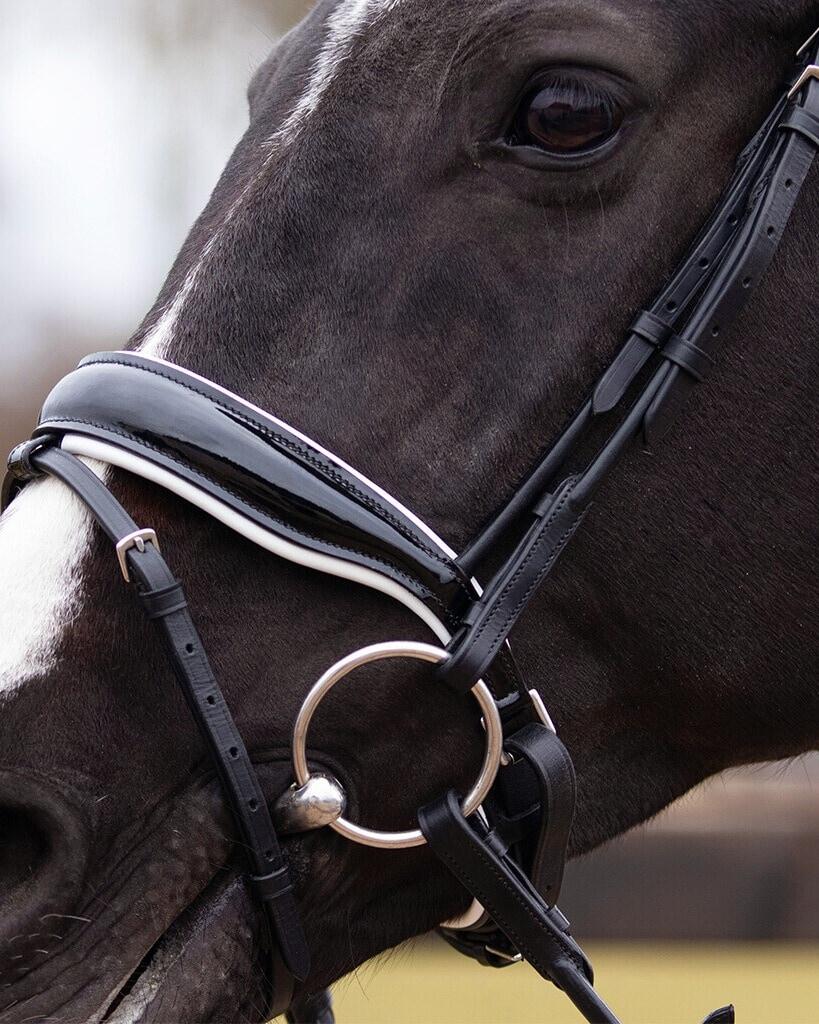 Trensen Reiten QHP Nehza 5/7
