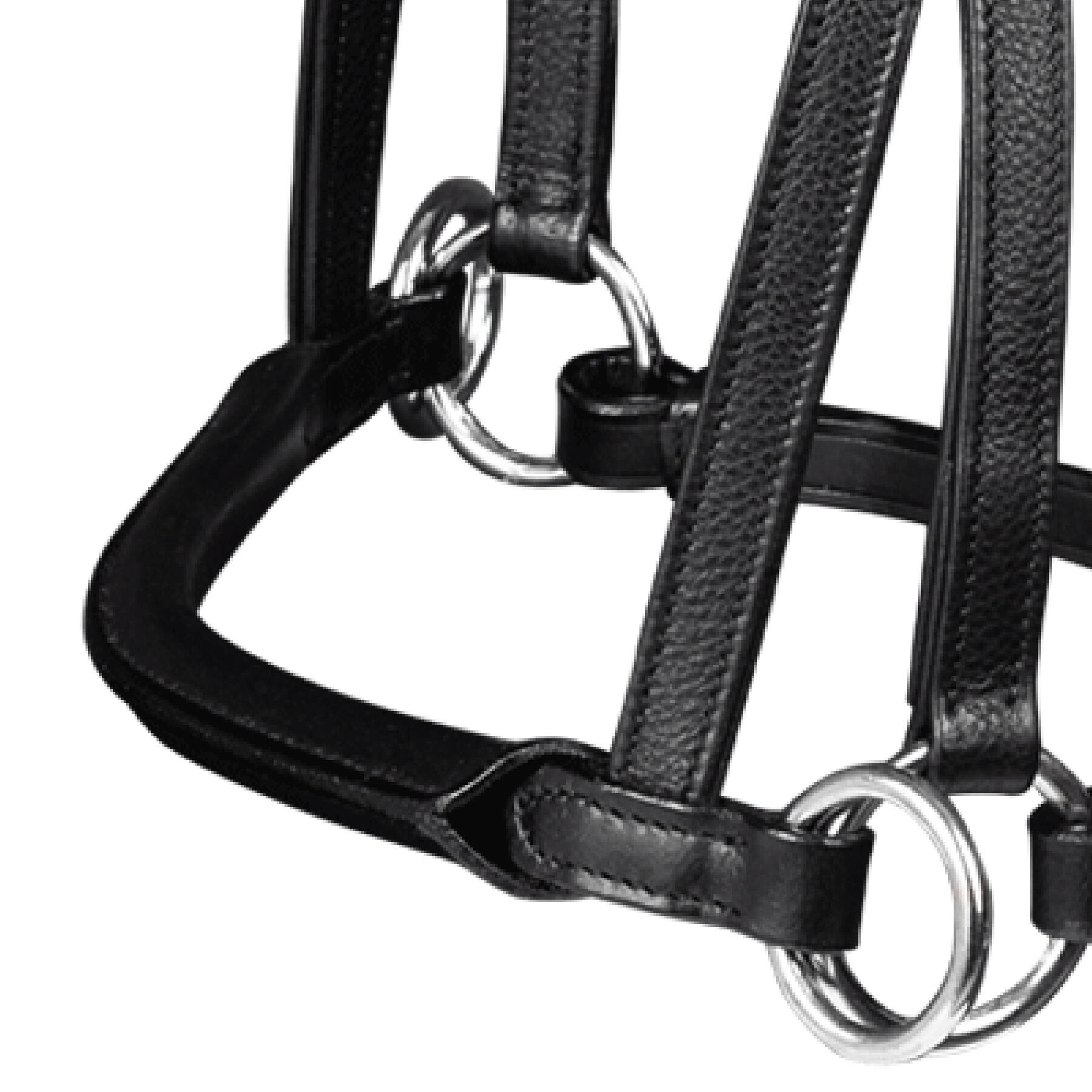 Bridon sans mors pour cheval Waldhausen X-Line Nuova 4/5