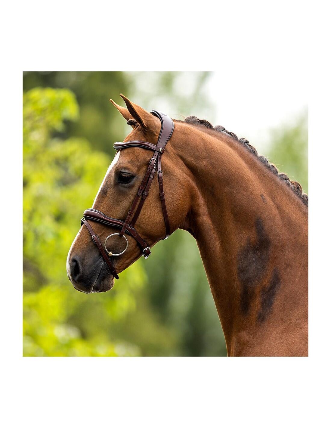 Briglie anatomiche per l'equitazione BR Equitation Luton 7/7