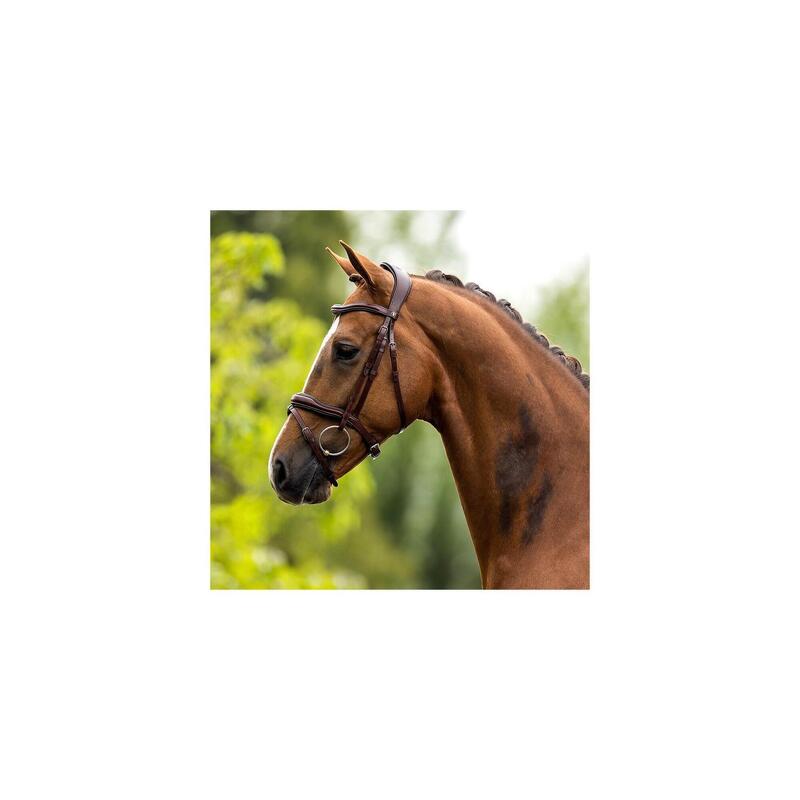 Bridon BR Equitation Anatomique Luton