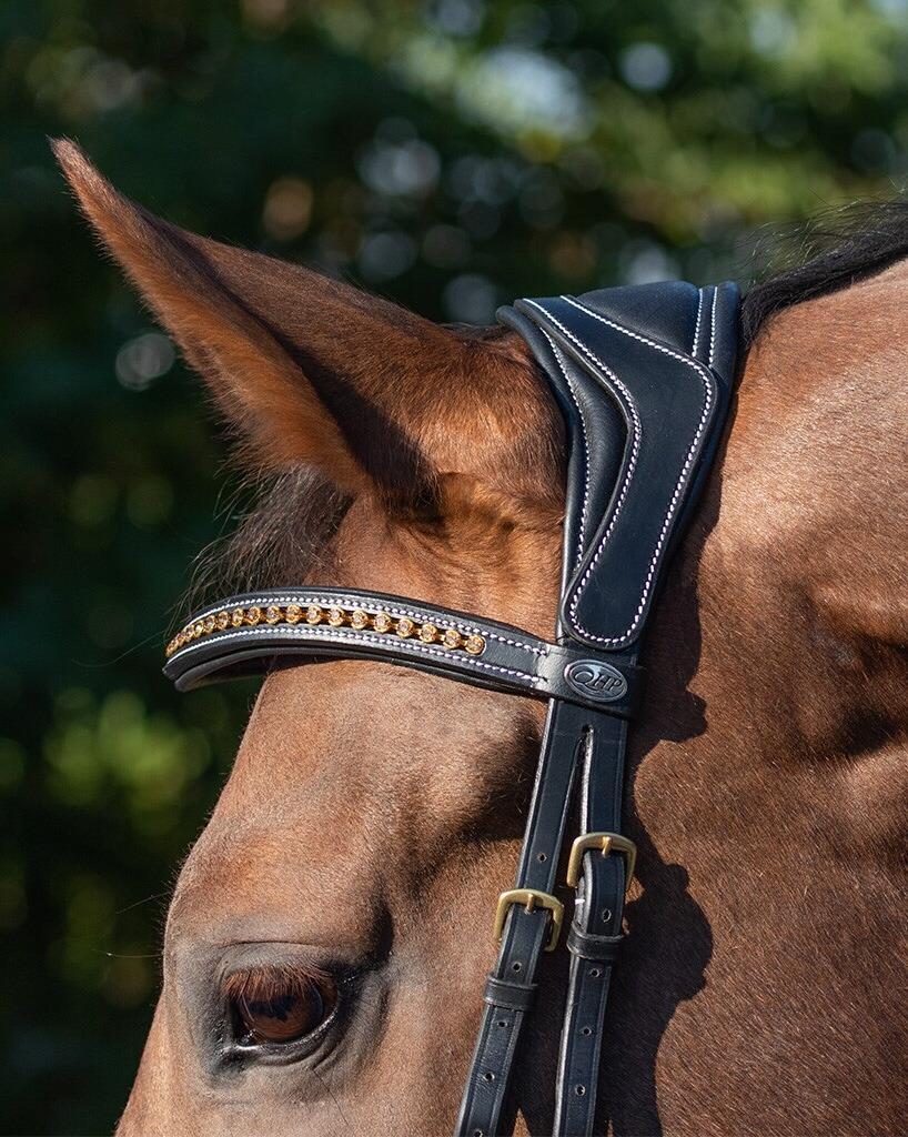 Rijhoofdstel QHP Devi 2/7