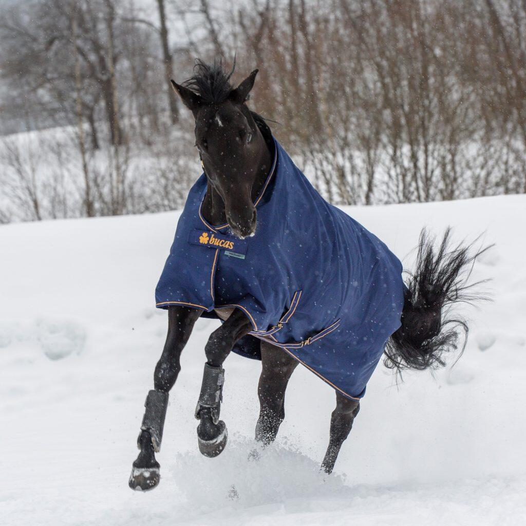 Manta impermeável para cavalos Bucas Irish Turnout 150g 3/5