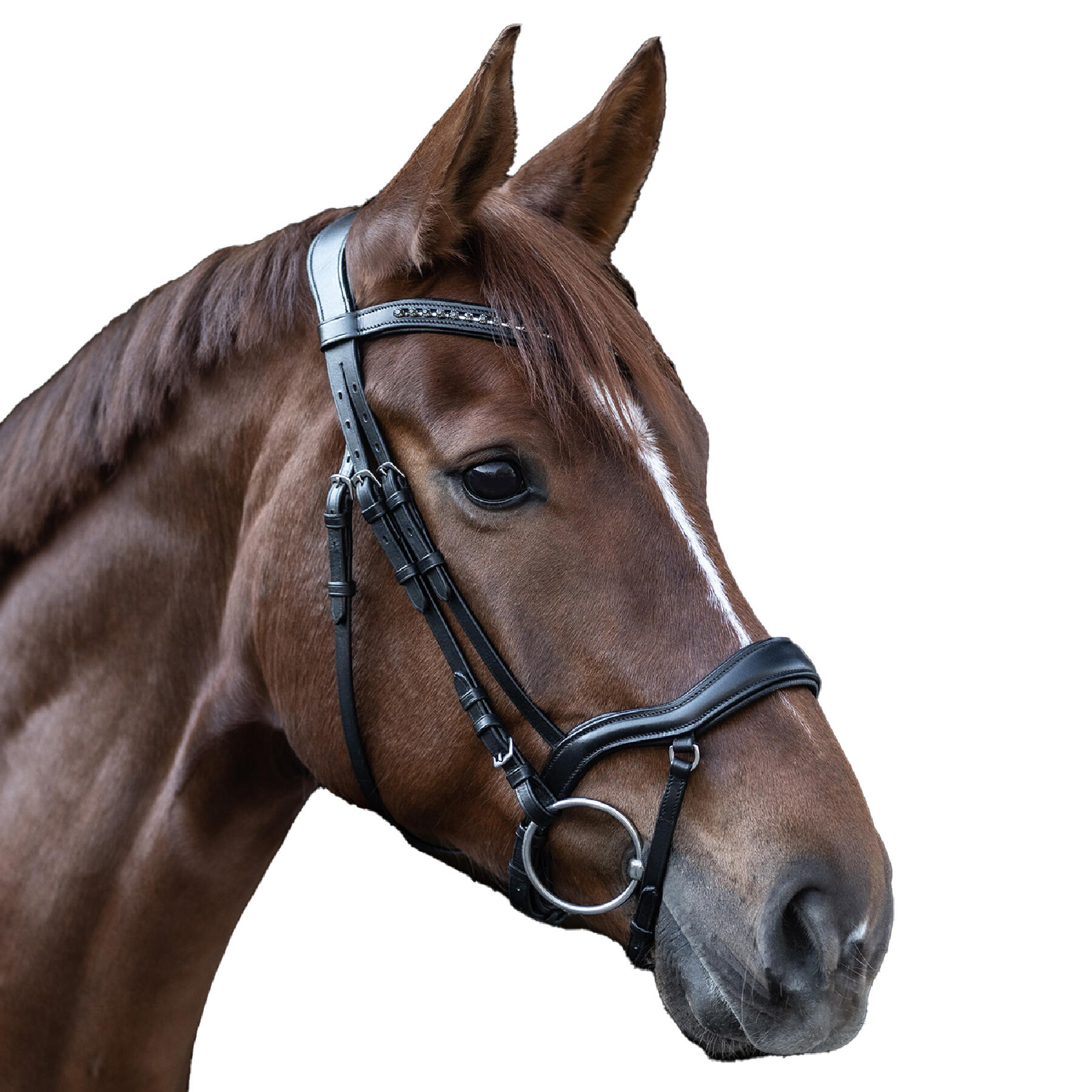 Bridas para caballos Waldhausen X-Line Shape II 6/6