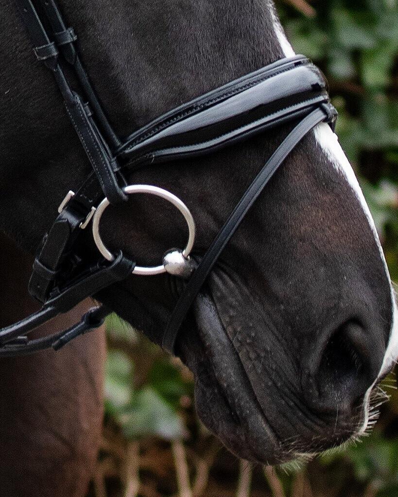 Trensen Reiten QHP Nehza 6/7