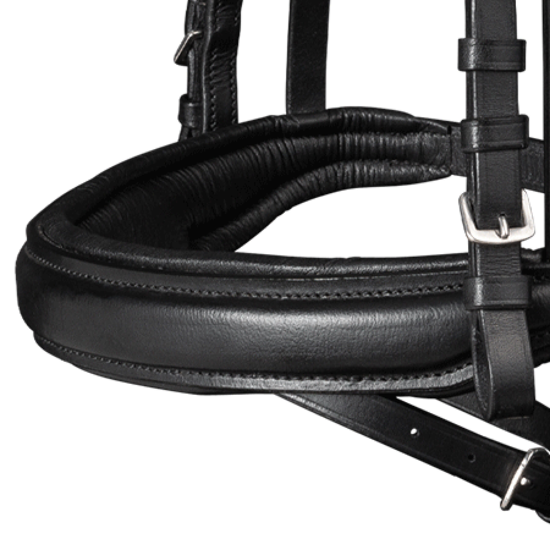 Bridon équitation pour cheval Waldhausen X-Line Beauty 4/6