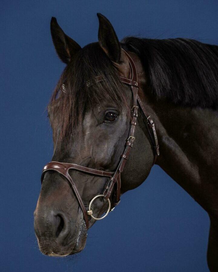 Briglia da equitazione Dy'on X-Fit US Collection 7/7