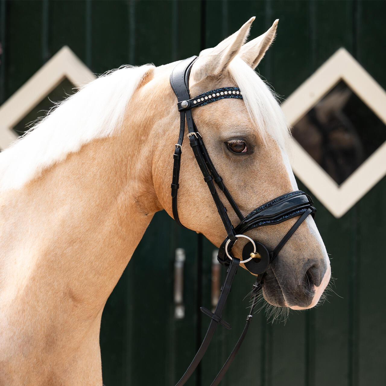 Frontal pour cheval QHP Skye 3/5