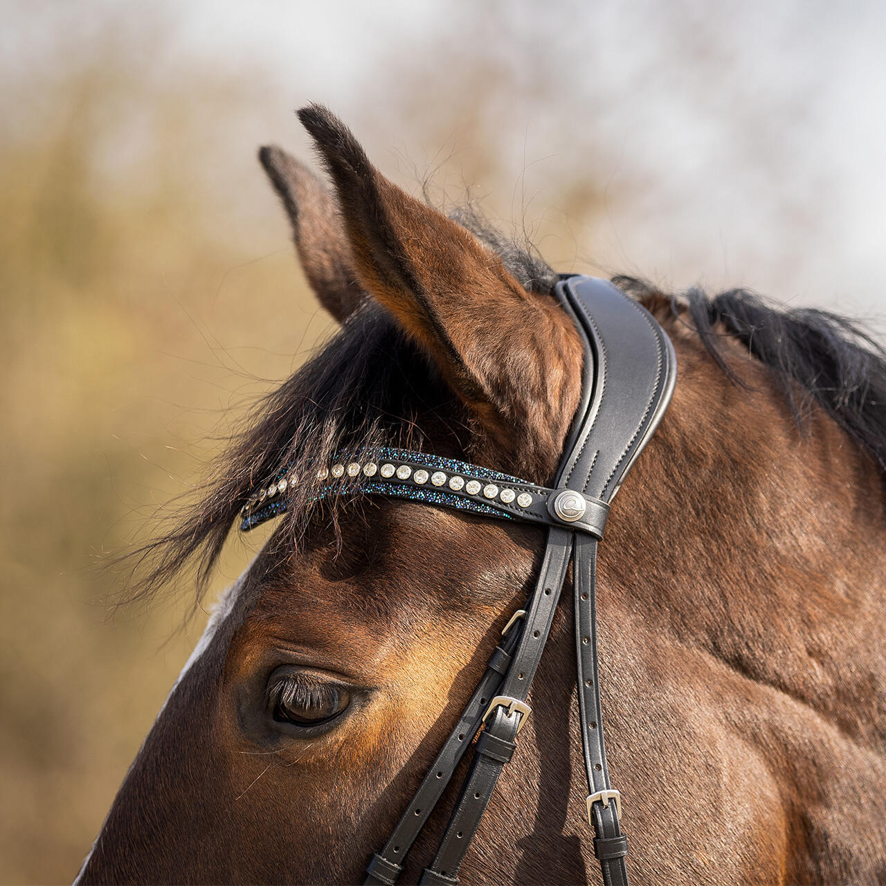 Frontal pour cheval QHP Skye 5/5