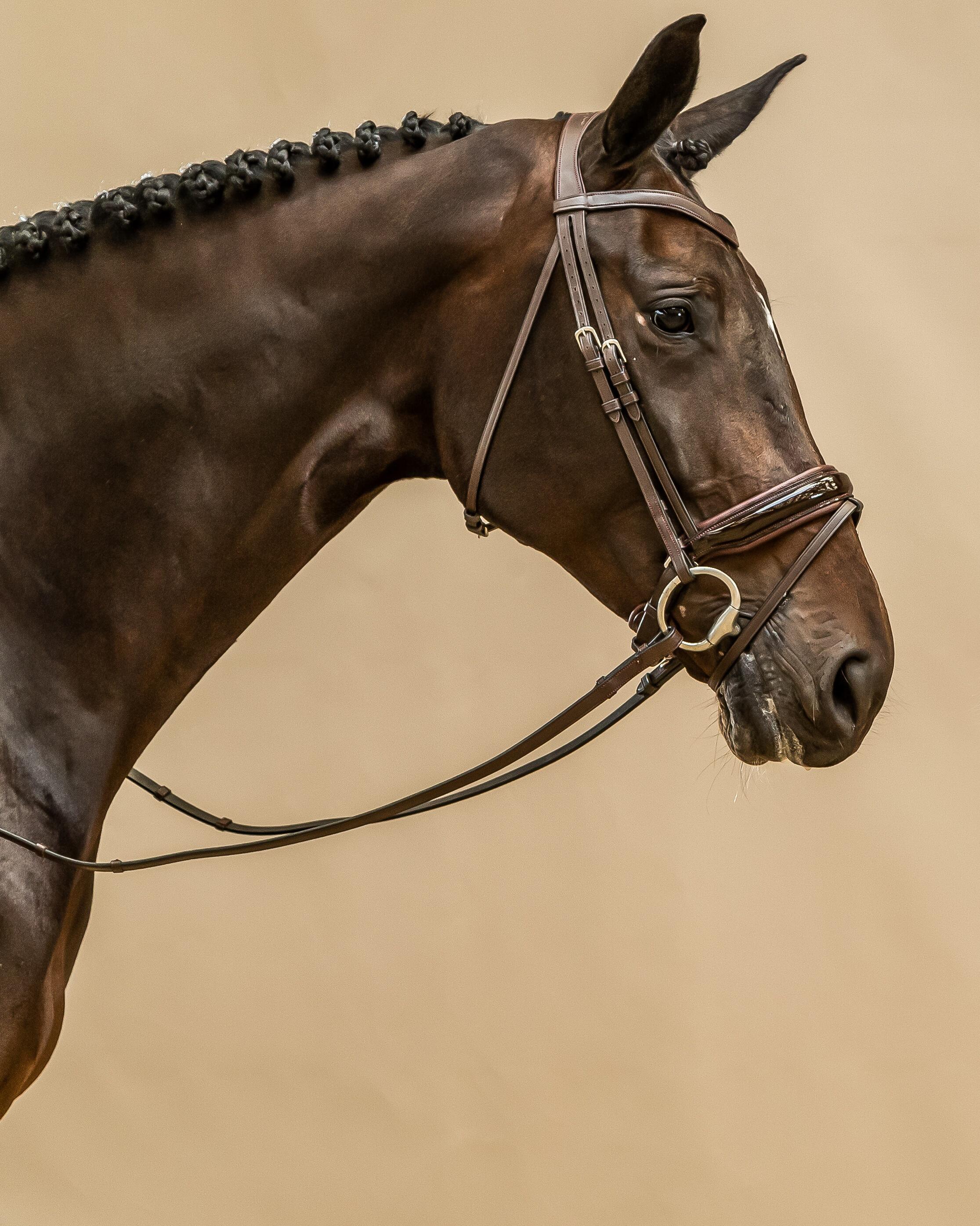 Breitnasenbridle mit kombiniertem Grubber aus lackiertem Leder Dy'on 7/7