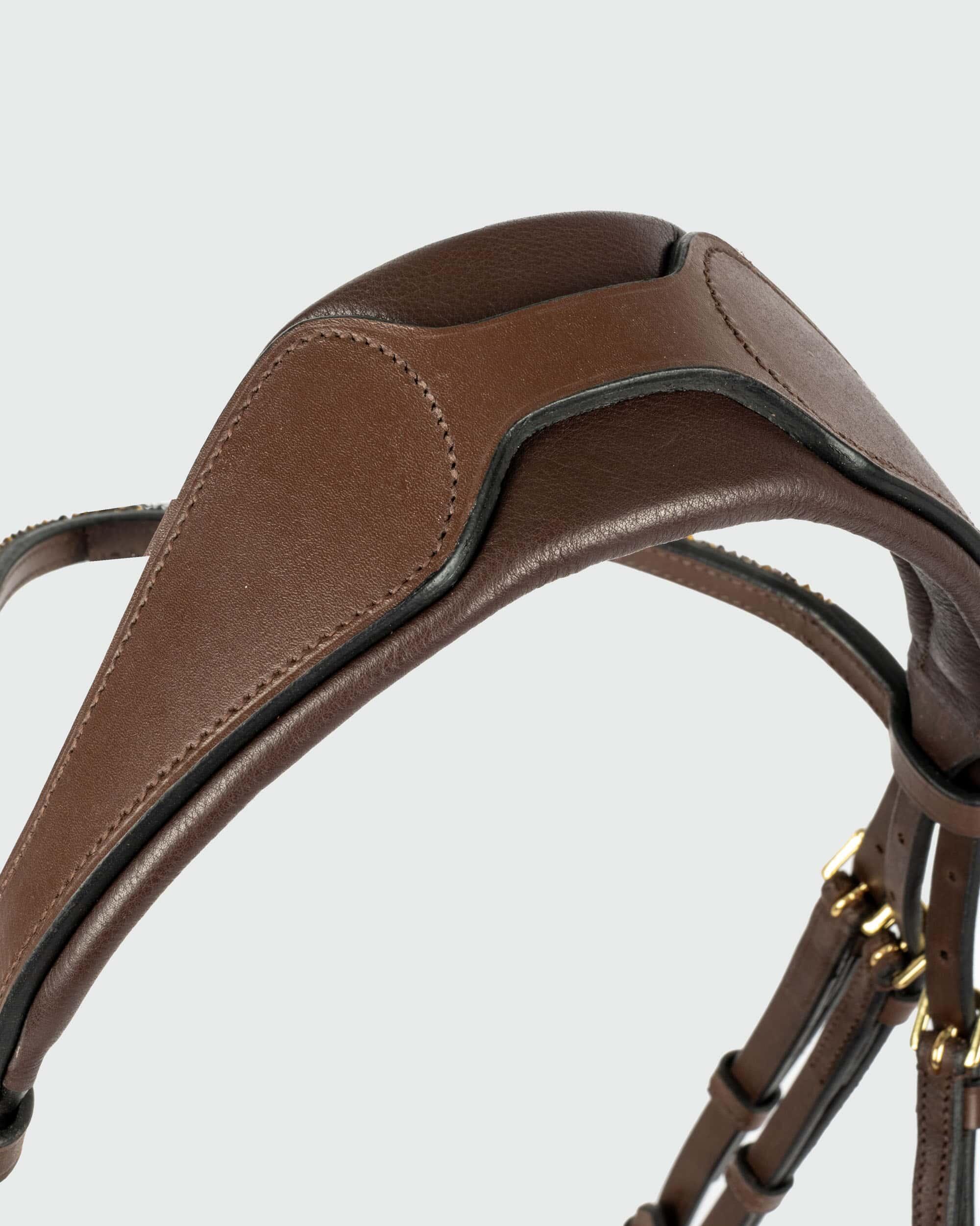 Trensen Reiten QHP Lupine 7/7