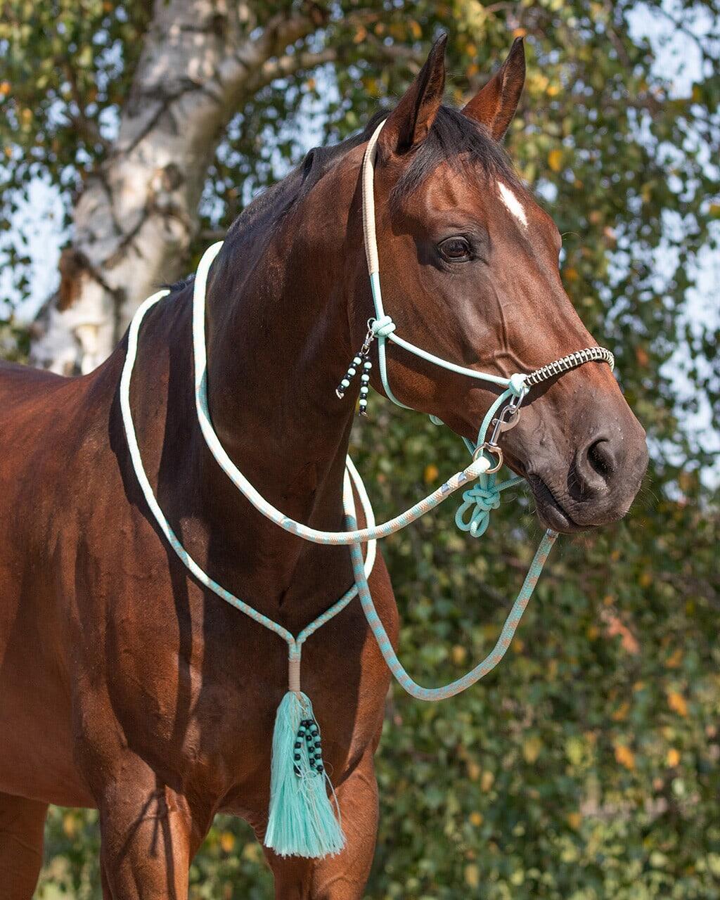 Licol pour cheval corde QHP Combi Liberty 7/7
