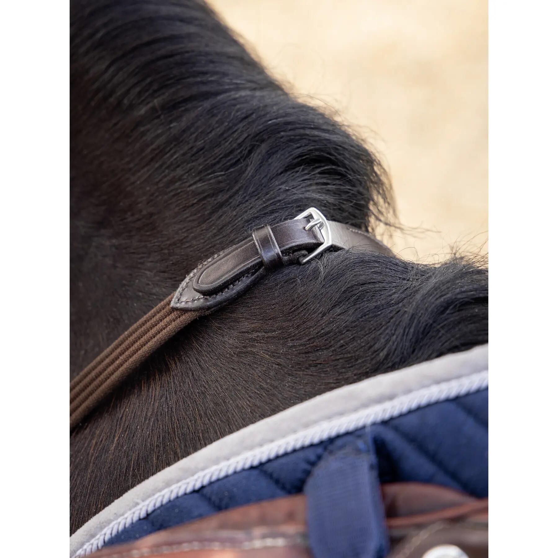 Rênes pour cheval LeMieux Continental 4/4