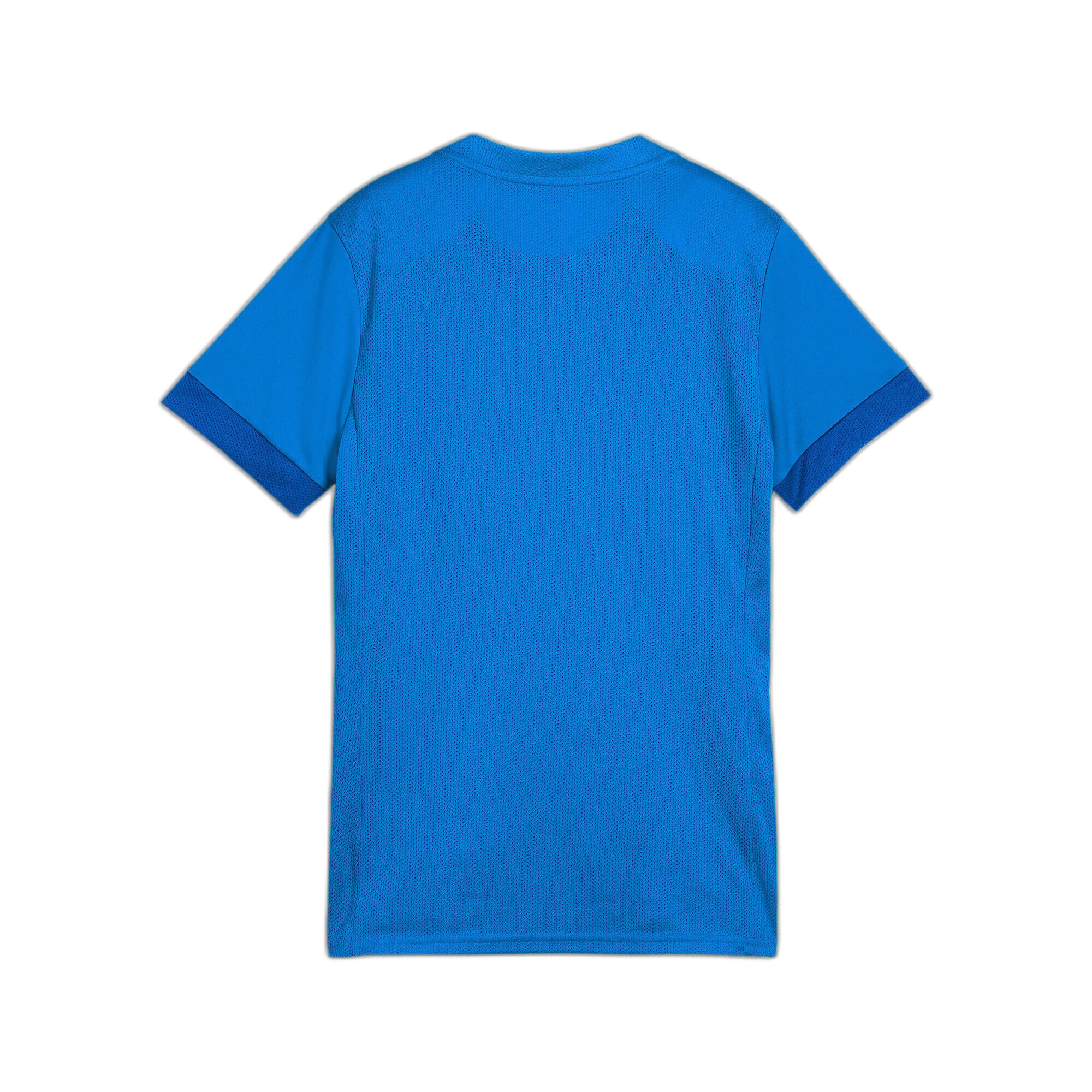 Puma Damen Trikot teamGOAL Matchday Jersey Wmns 705749 2/3