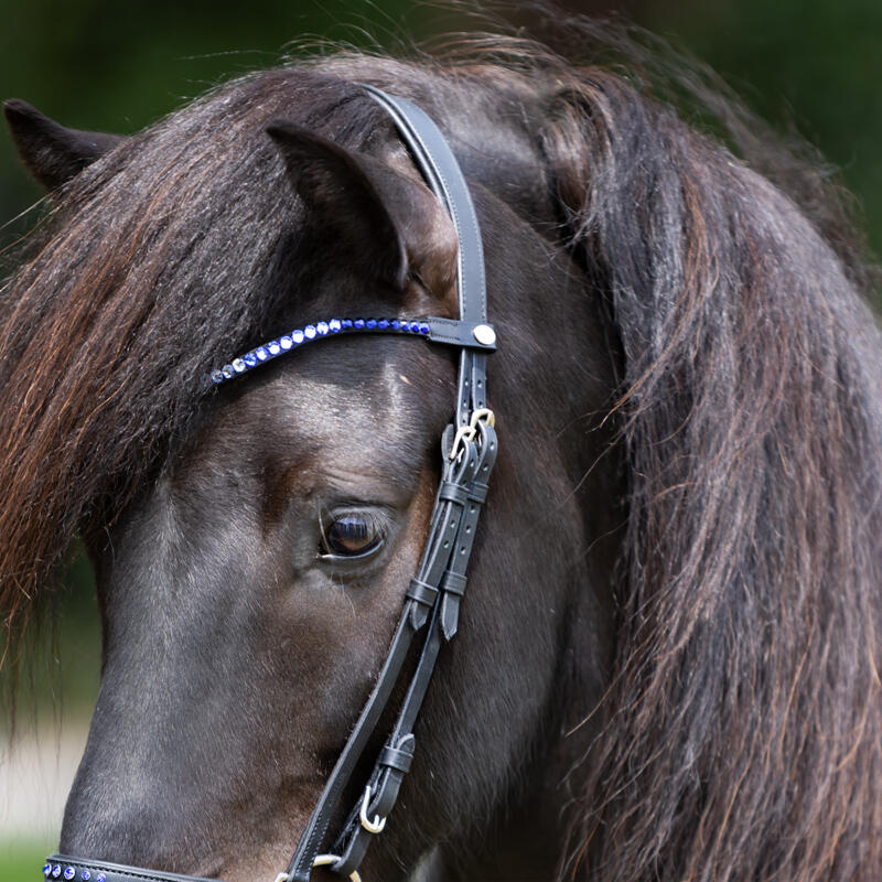 Frontal pour cheval Kavalkade Delight 2/2