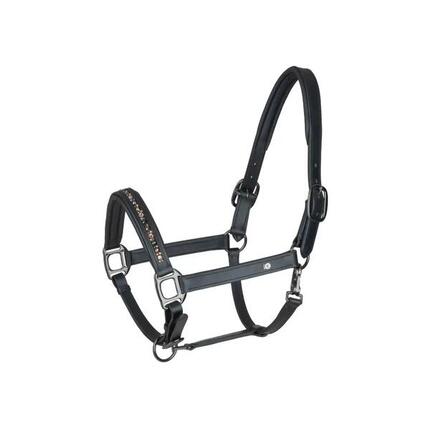 Licol pour cheval en cuir Waldhausen Crystal