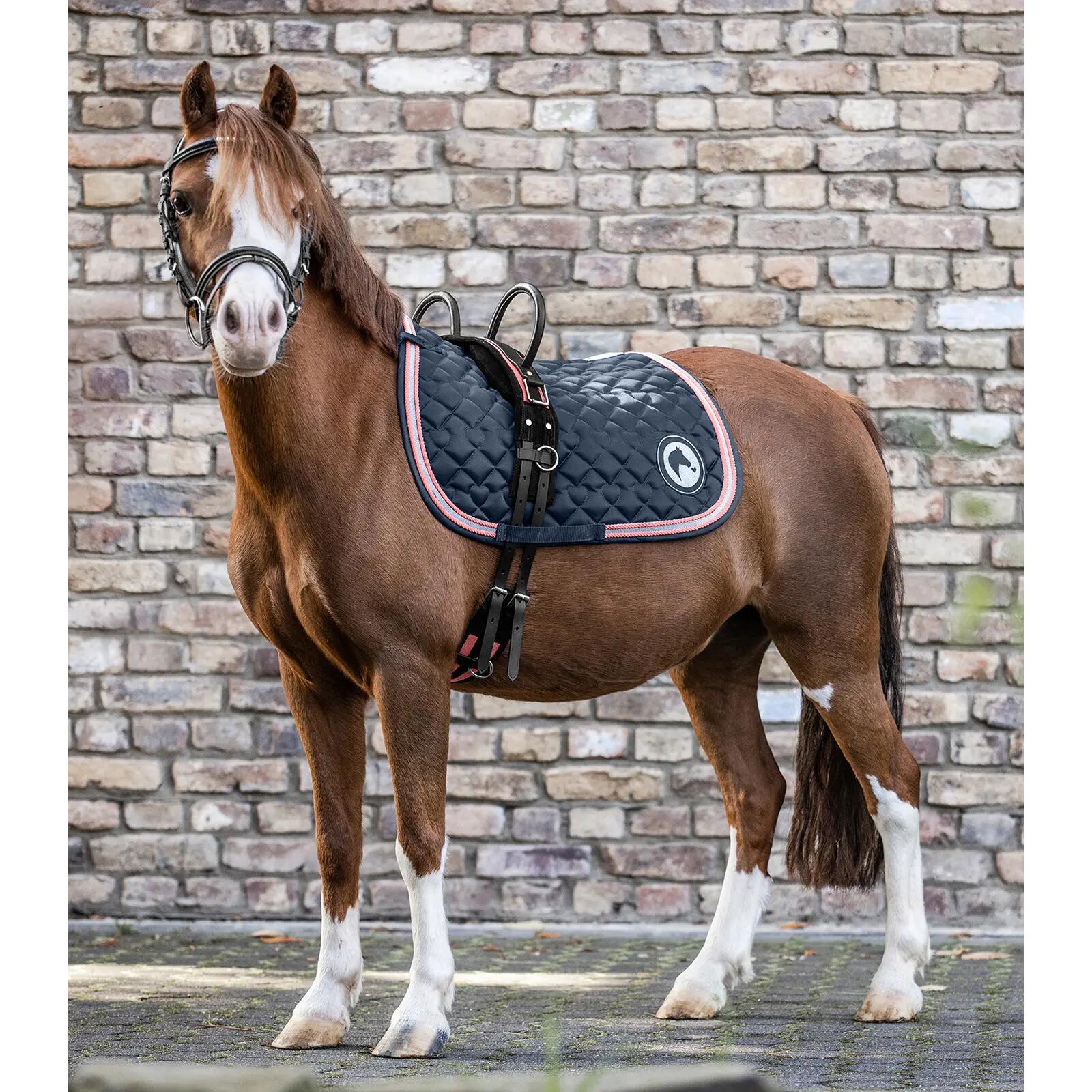 Surfaix pour cheval à deux poignées Waldhausen 3/3