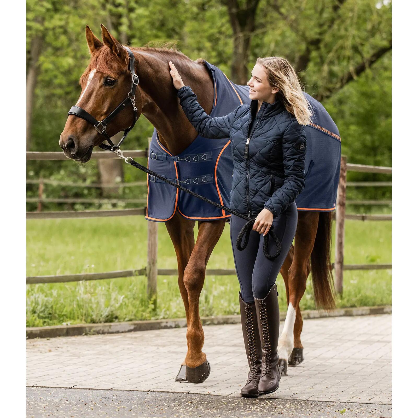 Couverture anti-mouches pour cheval d’été Waldhausen Cooler 2/3