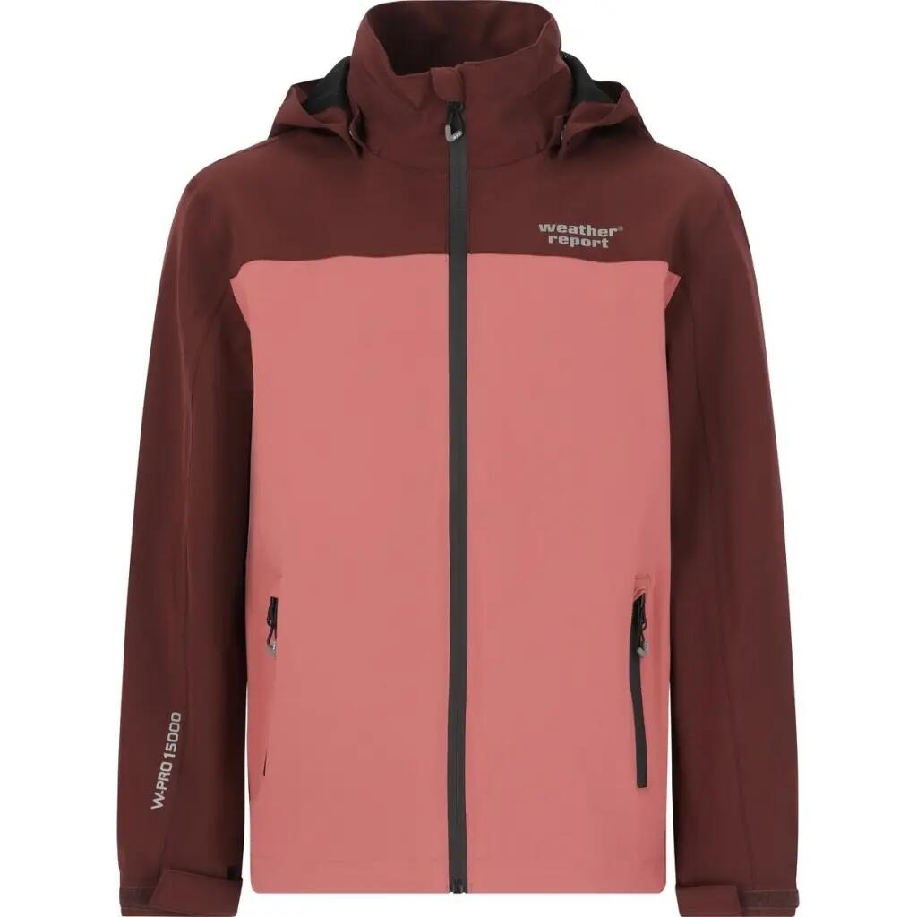 WEATHER REPORT picture