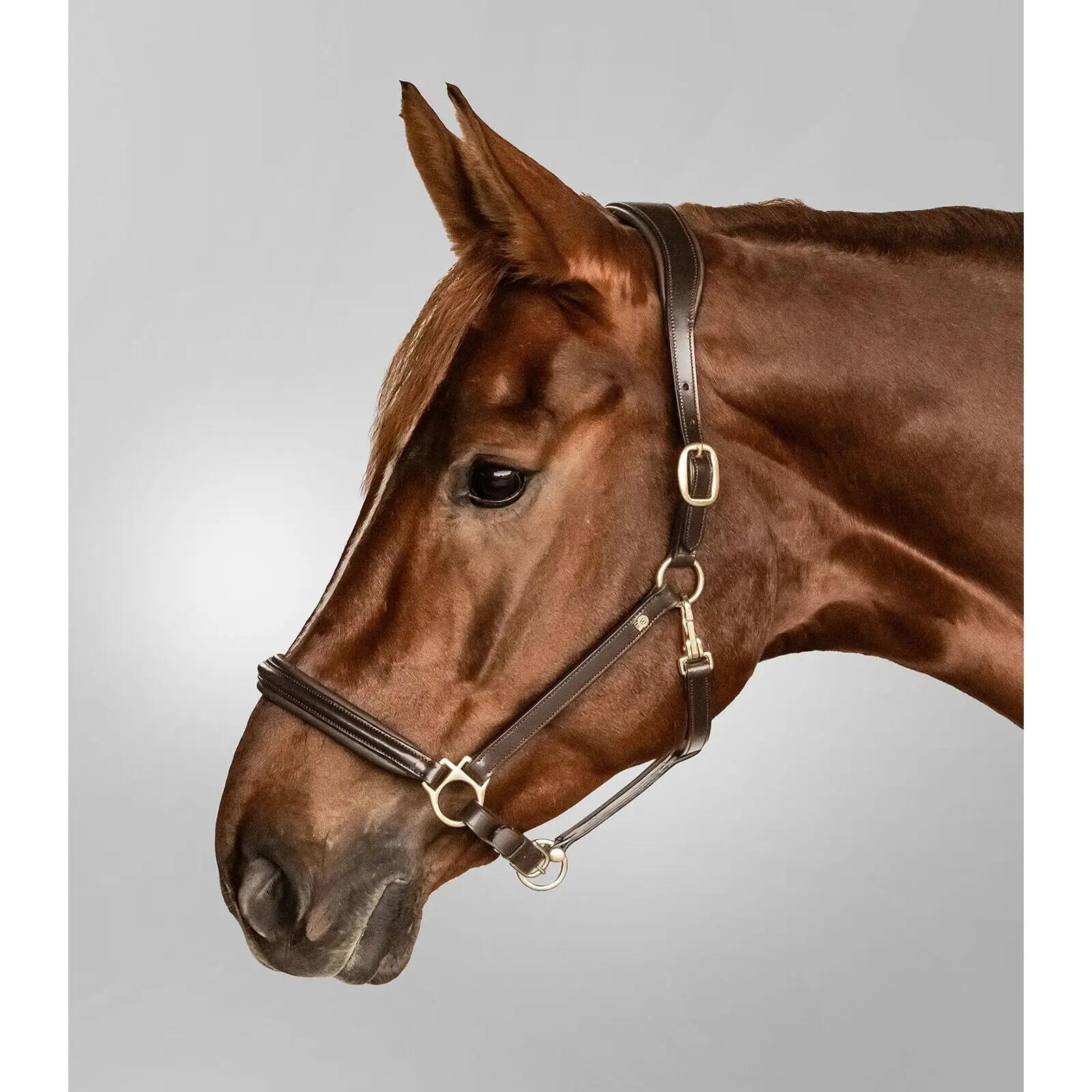 Cabestro para caballos Waldhausen S-Line 2/3