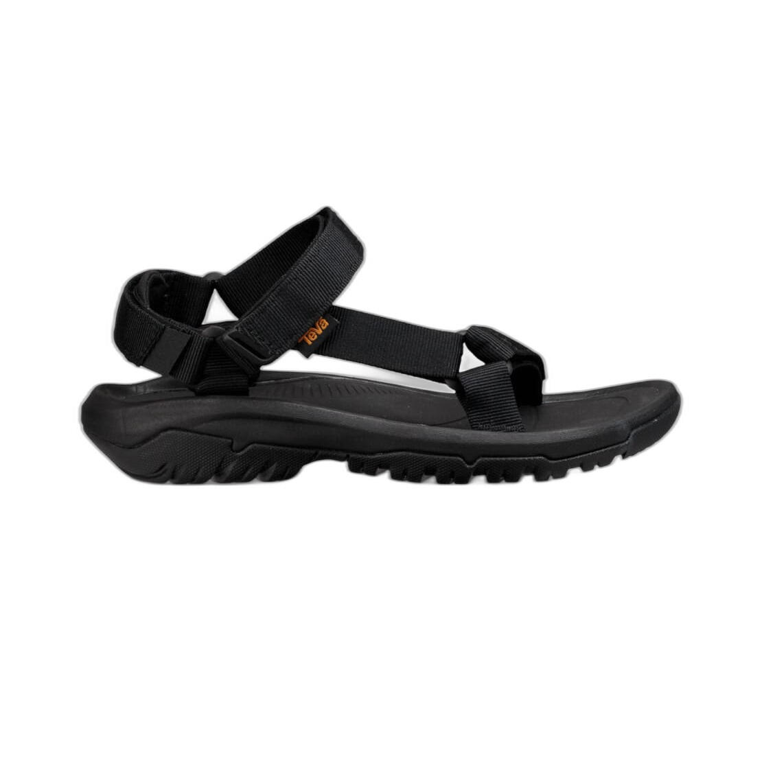 TEVA picture