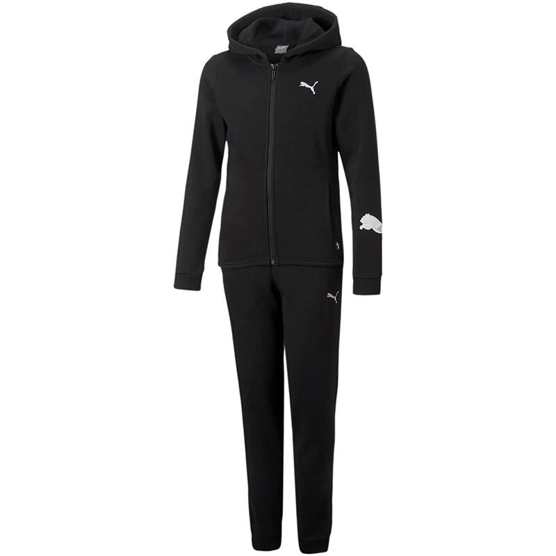 PUMA picture