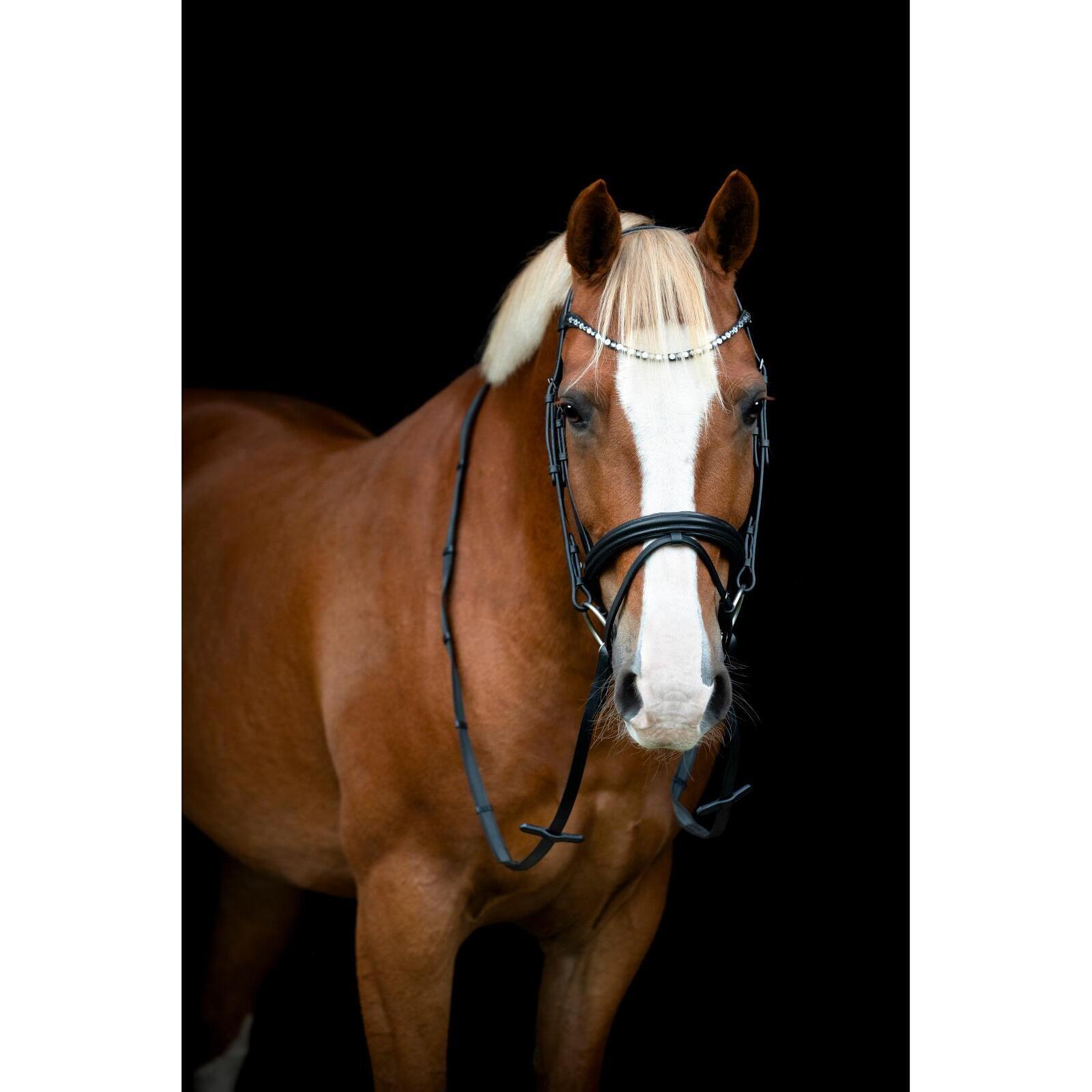 Cabezada combinada con muserola HorseGuard Emi 25.2 2/3