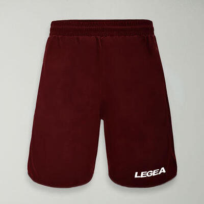 Heren hardloop shorts brest special ademend granaat