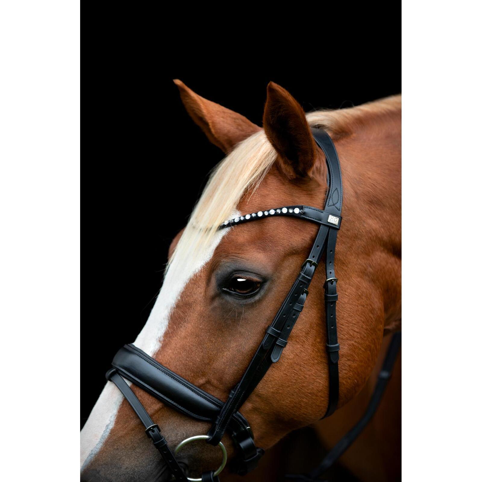 Bridon équitation avec flash et pullback HorseGuard Cryll 25.2 4/5