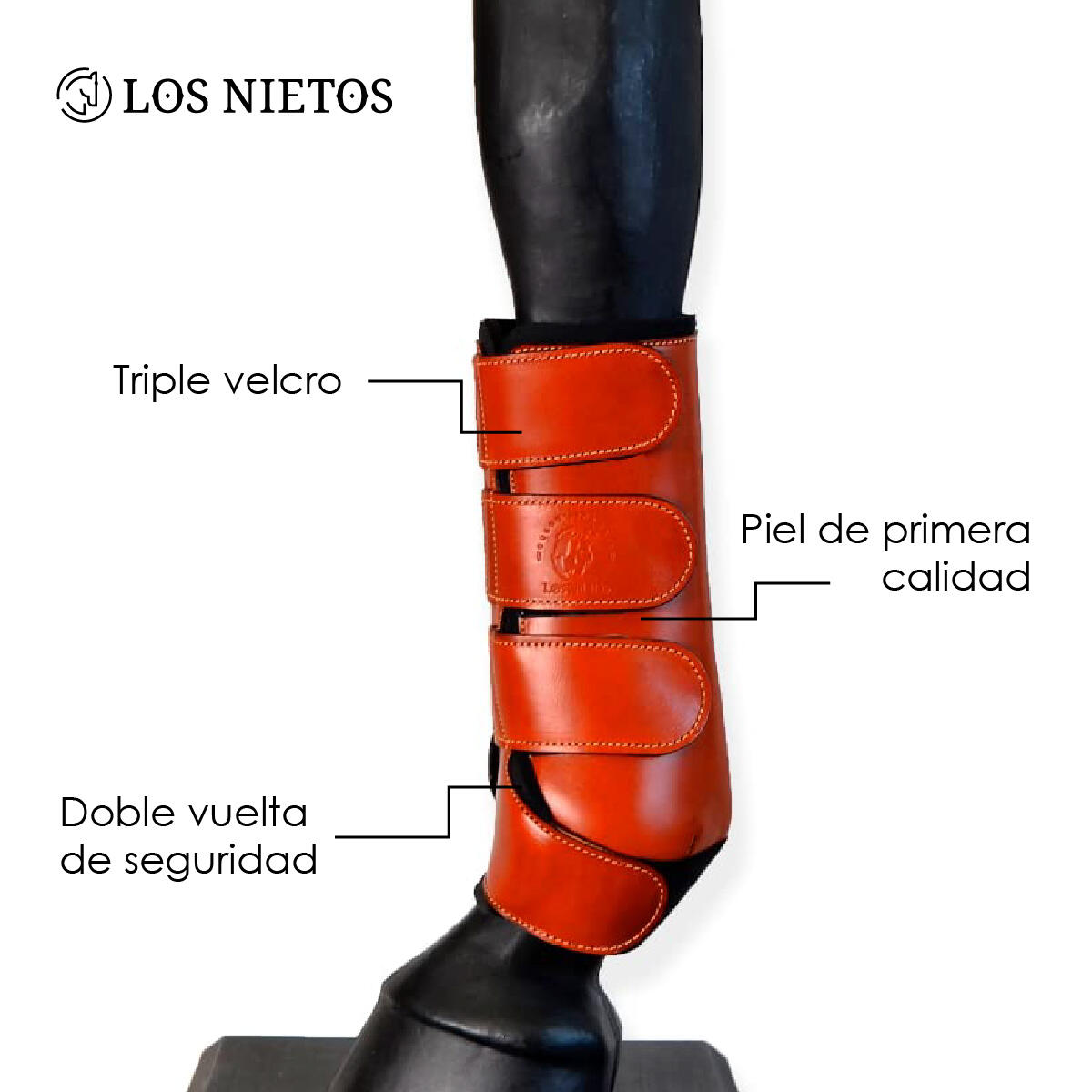 Protectores doma confort  Los Nietos  | COB | Avellana 2/6