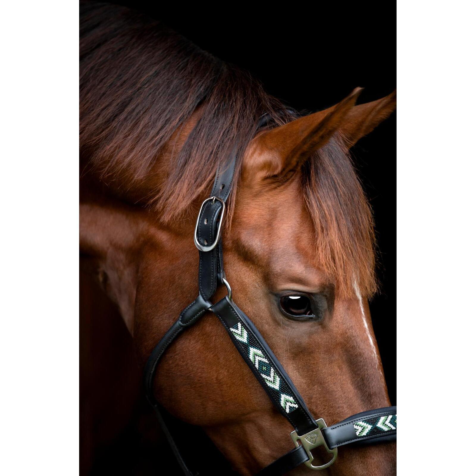 Cabestro de cuero para caballos Catago Vanamo 3/5
