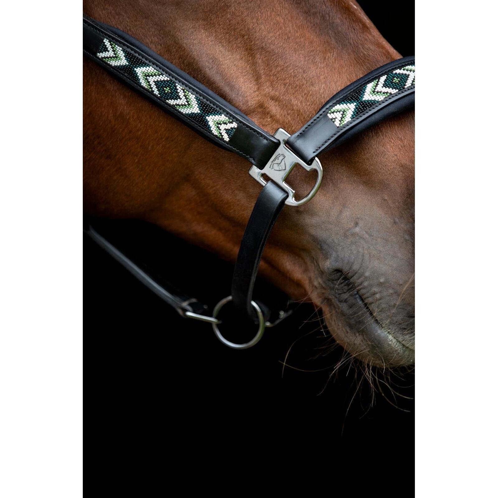 Cabestro de cuero para caballos Catago Vanamo 4/5