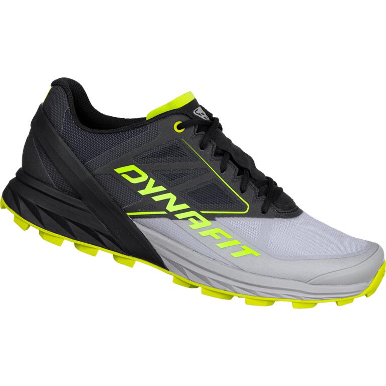 DYNAFIT picture
