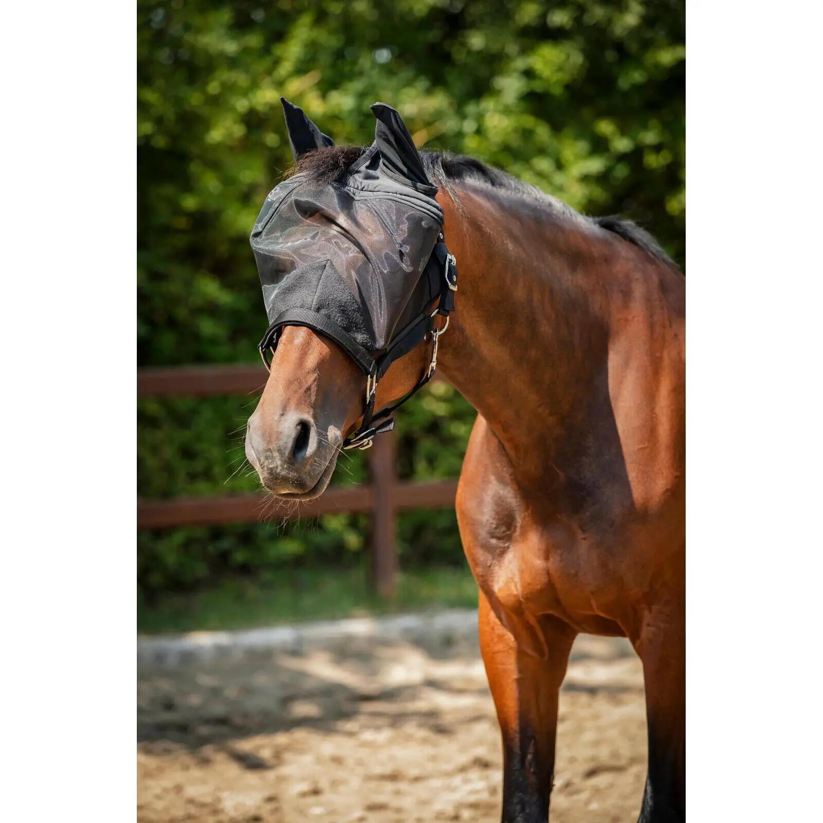 Fliegenmaske für Pferde HorseGuard Insect 2/3