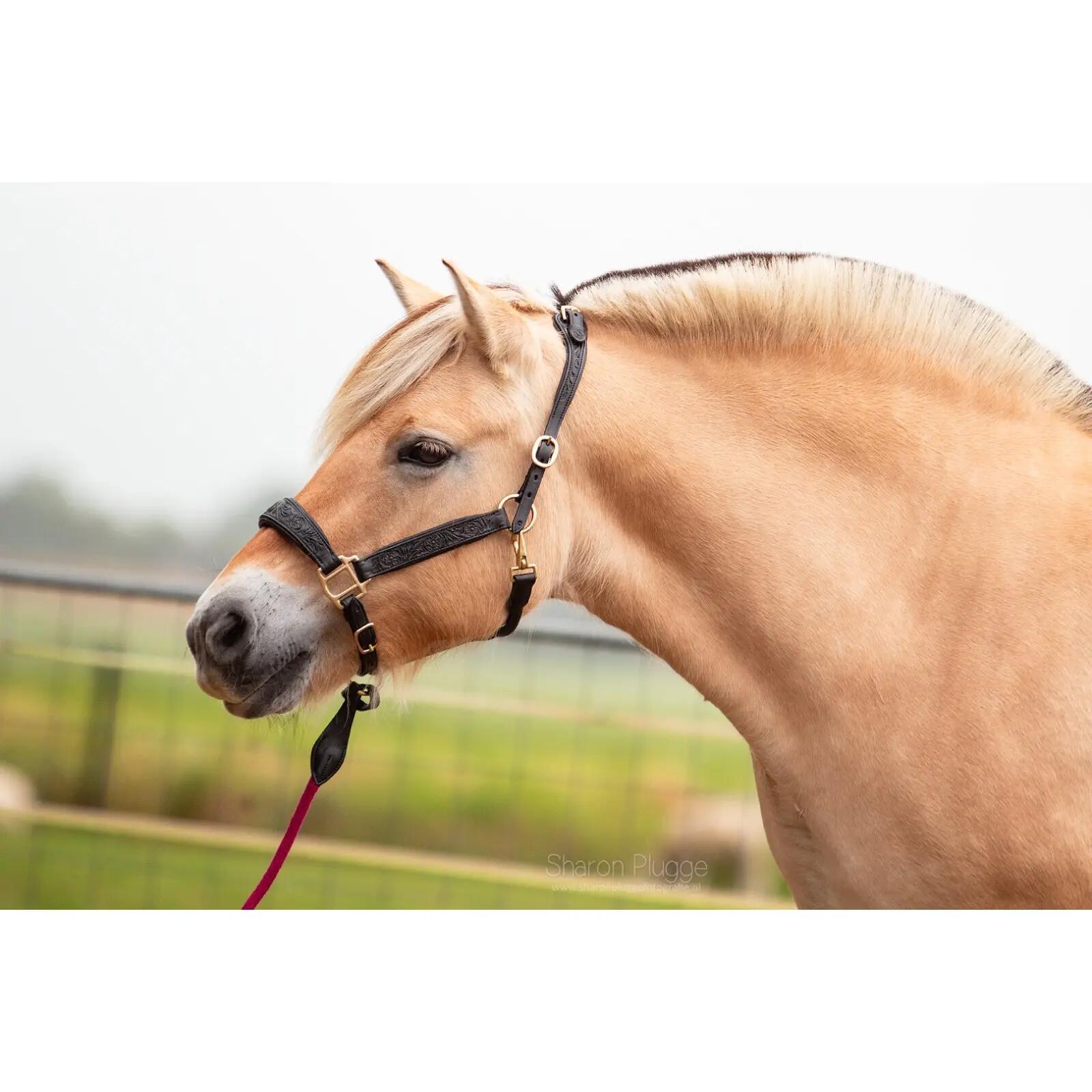 EDIX SADDLES picture