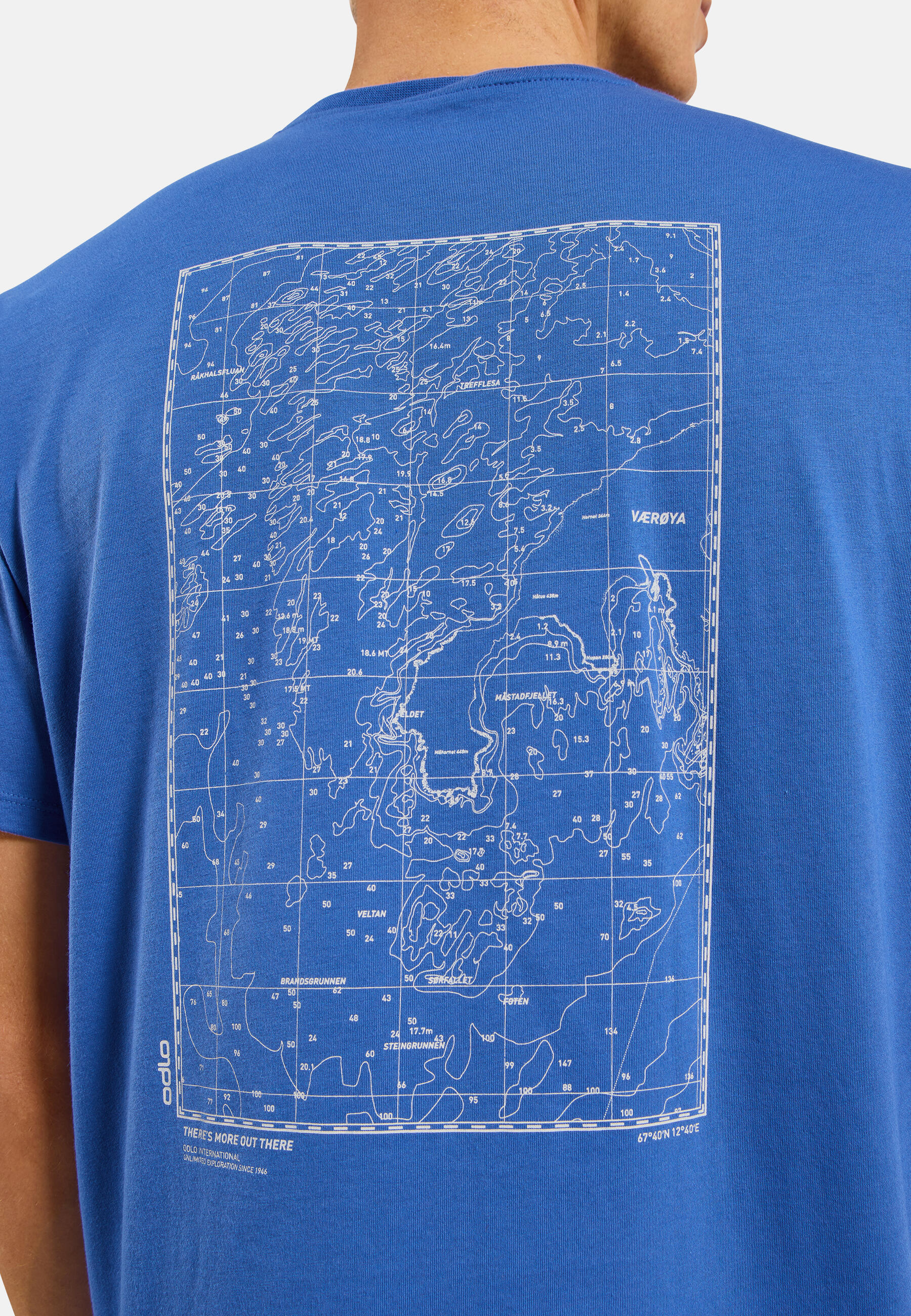 Koszulka z krótkim rękawem męska ODLO T-shirt crew neck s/s COTTON BLEND 5/7
