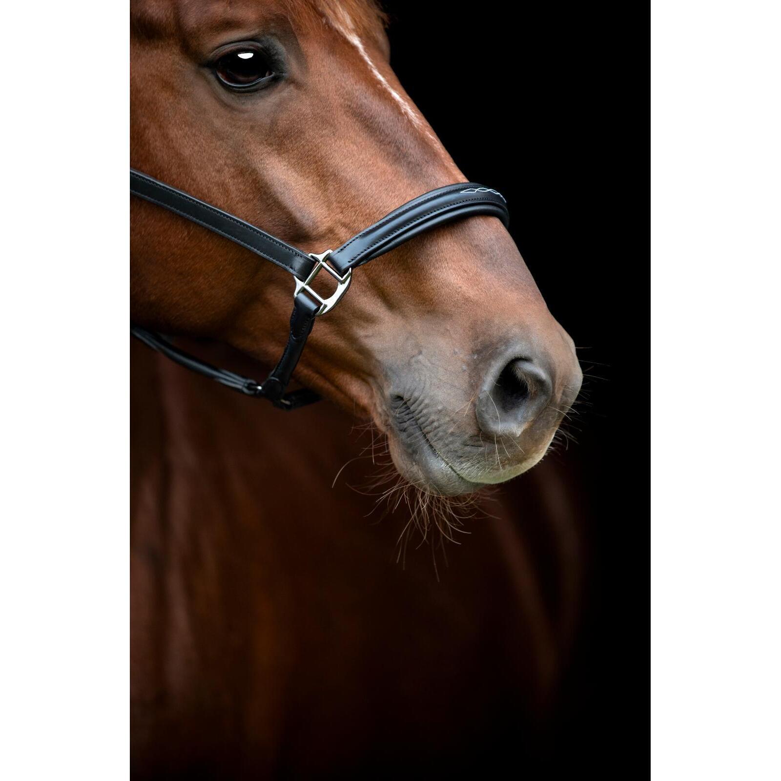 Cabestro de cuero para caballos Catago Novi 25.2 5/5